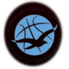 https://img.nanshanhu.cn/img/basketball/team/1a45d903dafdcc026ec9809d9916a681.png