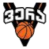 https://img.nanshanhu.cn/img/basketball/team/ab83d99c4b224434a81d14fc9e1b5949.png