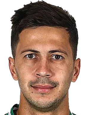 https://img.nanshanhu.cn/img/football/player/a7521cae3d55835286cc258209d1ffee.png